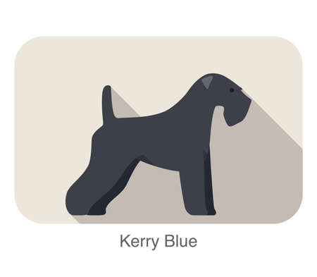 kerry blue terrier standing and watching, flat icon design, vector illustrationのイラスト素材
