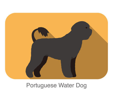 Portuguese water dog breed flat icon design, vector illustrationのイラスト素材