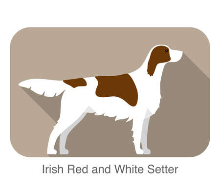 Irish red and white setter terrier standing and watching, flat icon, vector illustrationのイラスト素材