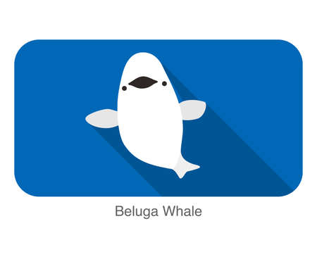 Beluga whale swimming in the water, flat icon, vector illustrationのイラスト素材