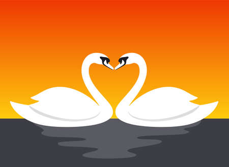 Couple swan lovers face to face vector illustrationのイラスト素材