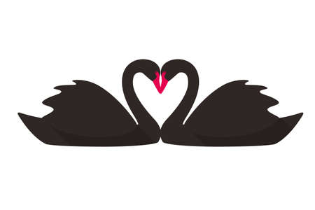 two black swans face to face swimming, vector illustrationのイラスト素材
