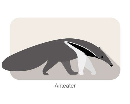 anteater walking and searching, side view, vector illustrationのイラスト素材