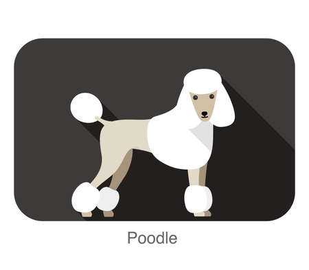 Poodle standing and watching, side view cartoon, vector illustrationのイラスト素材