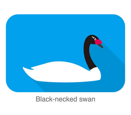 black-necked swan, cartoon flat icon vector illustrationのイラスト素材