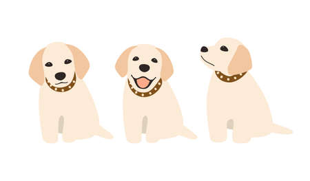 Golden Retriever sitting on the ground, front view, vector illustrationのイラスト素材