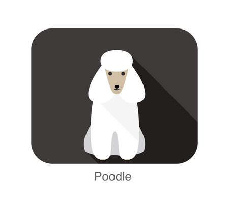 Poodle sitting on the ground, front view cartoon, vector illustrationのイラスト素材