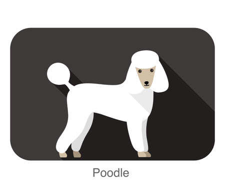 Poodle standing and watching, side view cartoon, vector illustrationのイラスト素材