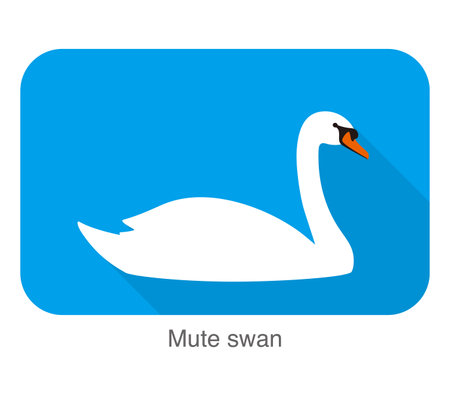 mute swan, cartoon flat icon vector illustrationのイラスト素材