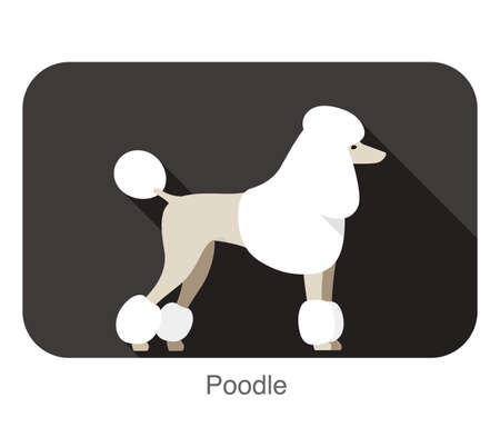 Poodle standing and watching, side view cartoon, vector illustrationのイラスト素材