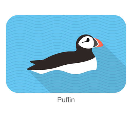 Iceland bird, flat cute puffin vector illustrationのイラスト素材