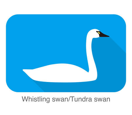 whistling swan, cartoon flat icon vector illustrationのイラスト素材