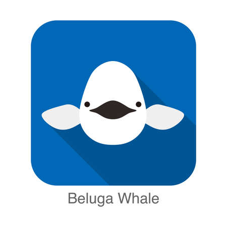 Beluga whale face flat icon vector illustrationのイラスト素材