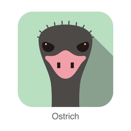 simple ostrich flat icon design, vector illustrationのイラスト素材
