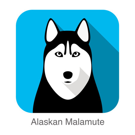 Siberian Husky face, Alaskan Malamute vector illustratorのイラスト素材