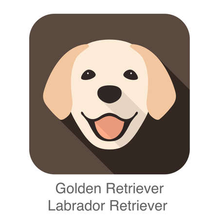 Golden Retriever face, front view, vector illustrationのイラスト素材
