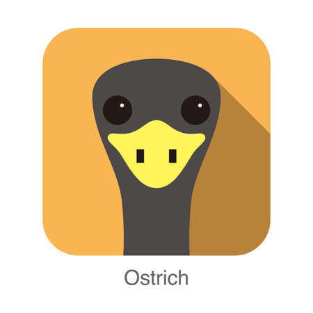 simple ostrich flat icon design vector illustrationのイラスト素材