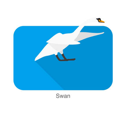 Mute swan flat icon design, cartoon vector illustrationのイラスト素材
