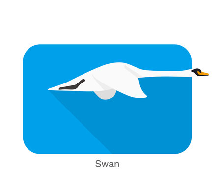 Mute swan flat icon design, cartoon vector illustrationのイラスト素材