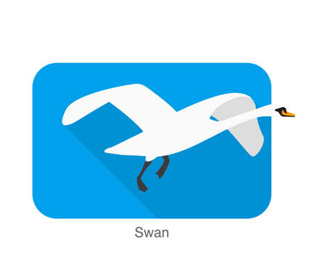 Mute swan flat icon design, cartoon vector illustrationのイラスト素材