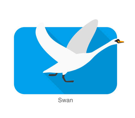 Mute swan flat icon design, cartoon vector illustrationのイラスト素材