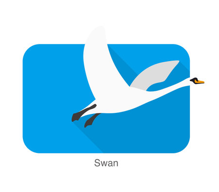 Mute swan flat icon design, cartoon vector illustrationのイラスト素材