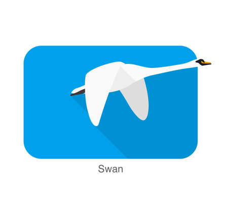 Mute swan flat icon design, cartoon vector illustrationのイラスト素材