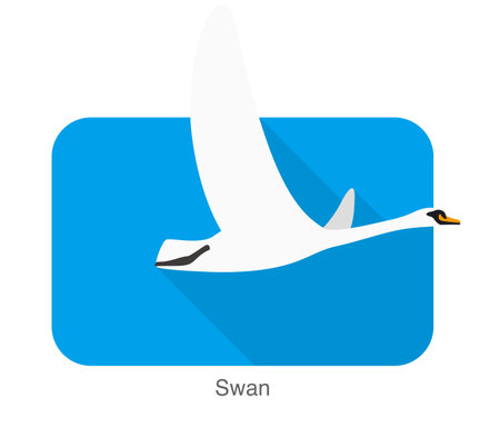 Mute swan flat icon design, cartoon vector illustrationのイラスト素材