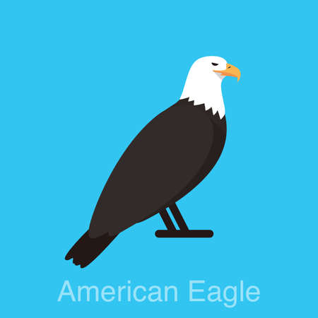 American eagle sitting flat icon, watching, vector illustrationのイラスト素材