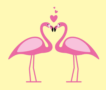 two Flamingos face to face, lover, vectorのイラスト素材