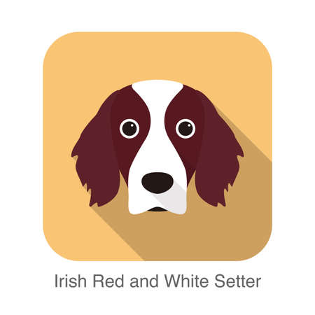Irish red and white setter terrier dog face portrait, vector illustrationのイラスト素材