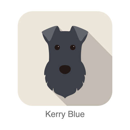 kerry blue terrier dog face portrait flat icon design, vector illustrationのイラスト素材