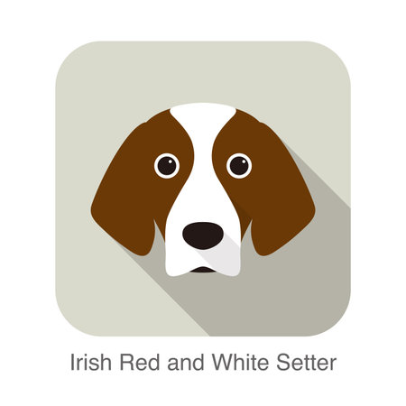 Irish red and white setter terrier dog face portrait, vector illustrationのイラスト素材