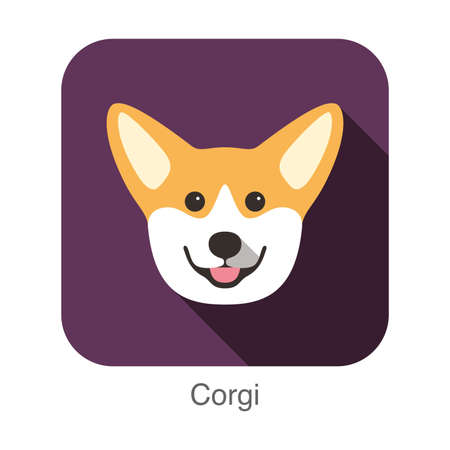 Welsh Corgi Cardigan dog face portrait flat icon design, vector illustrationのイラスト素材
