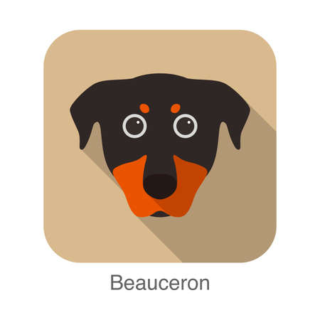 Beauceron dog face portrait flat icon design, vector illustrationのイラスト素材