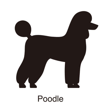 Poodle dog silhouette, side view, vector illustrationのイラスト素材