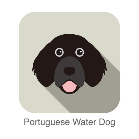 Portuguese water dog face portrait flat icon design, vector illustrationのイラスト素材