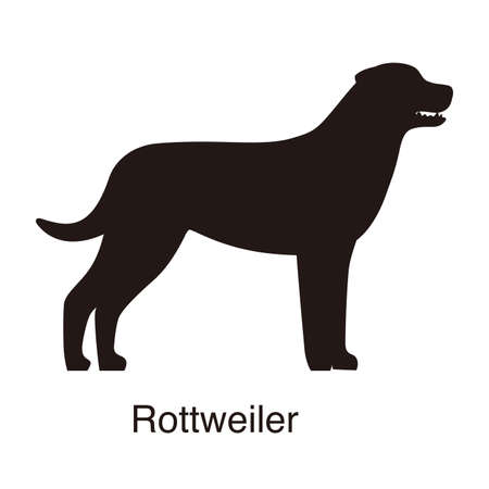 Rottweiler dog silhouette, side view, vector illustrationのイラスト素材