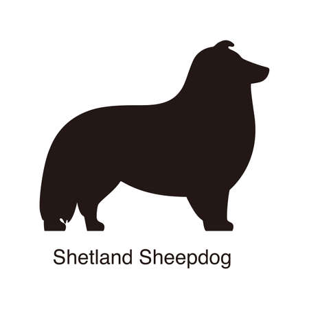 Shetland Sheepdog dog silhouette, side view, vector illustrationのイラスト素材