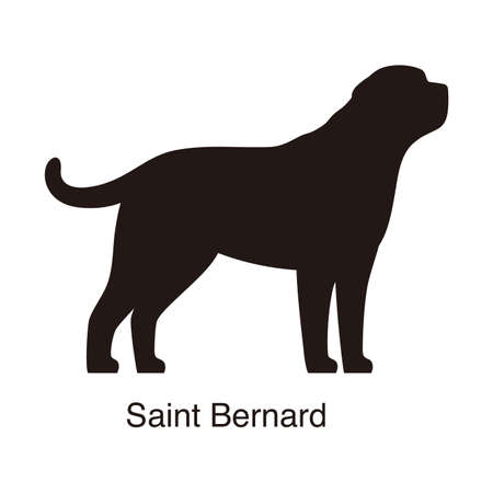 Saint Bernard dog silhouette, side view, vector illustrationのイラスト素材