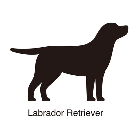 Labrador Retriever dog silhouette, side view, vector illustrationのイラスト素材