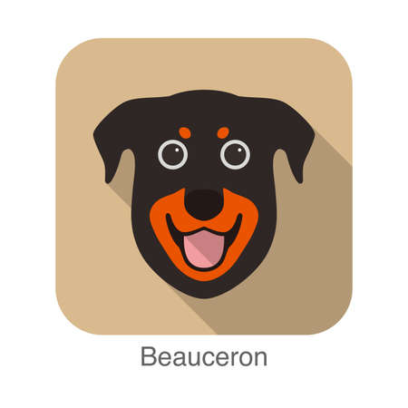 Beauceron dog face portrait flat icon design, vector illustrationのイラスト素材