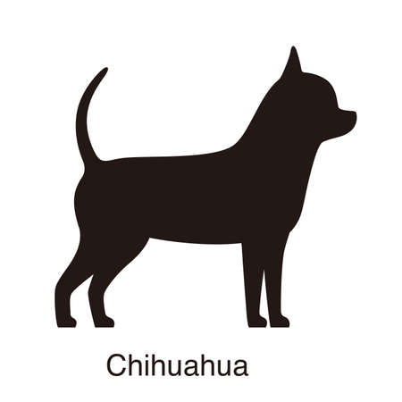 Chihuahua dog silhouette, side view, vector illustrationのイラスト素材
