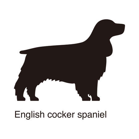 English cocker spaniel dog silhouette, side view, vector illustrationのイラスト素材