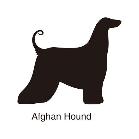 Afghan Hound dog silhouette, side view, vector illustrationのイラスト素材