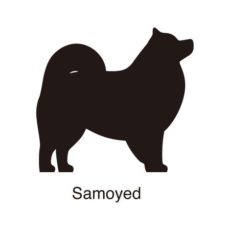 Samoyed dog silhouette, side view, vector illustrationのイラスト素材