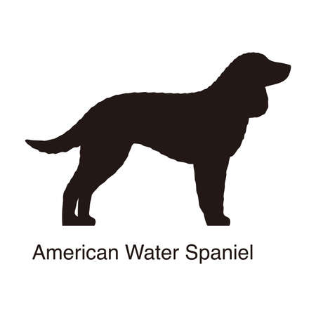American Water Spaniel dog silhouette, side view, vector illustrationのイラスト素材