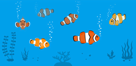 clown fish swimming in the sea, seaweed vector illustrationのイラスト素材