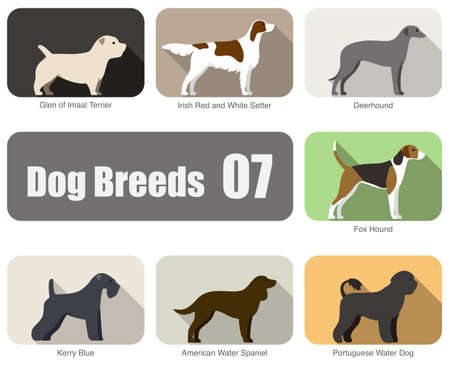 set of dog breeds flat icon design, vector illustrationのイラスト素材