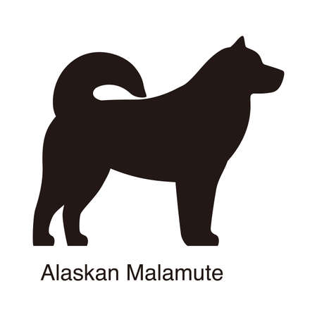 Alaskan Malamute dog silhouette, side view, vector illustrationのイラスト素材